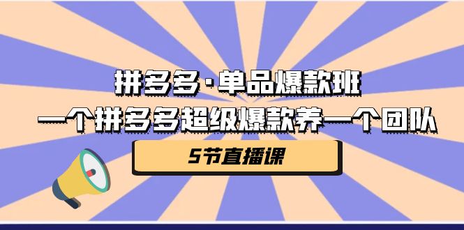 （7019期）拼多多·单品爆款班，一个拼多多超级爆款养一个团队（5节直播课）-古龙岛网创