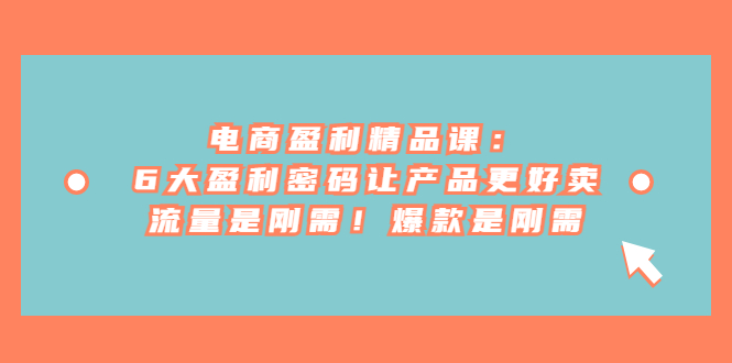 （6954期）电商 盈利精品课：6大盈利 密码让产品更好卖，流量是刚需！爆款是刚需-古龙岛网创