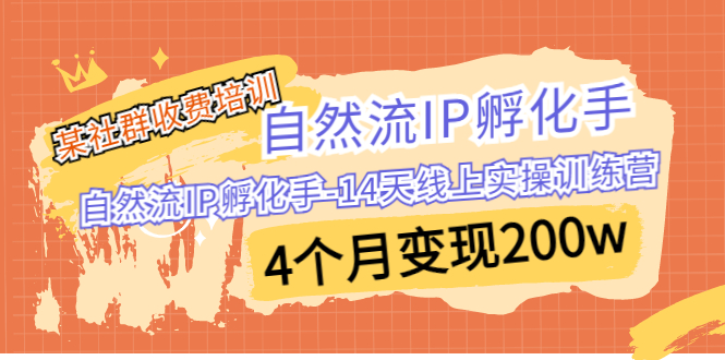 （6924期）某社群收费培训：自然流IP 孵化手-14天线上实操训练营 4个月变现200w-古龙岛网创