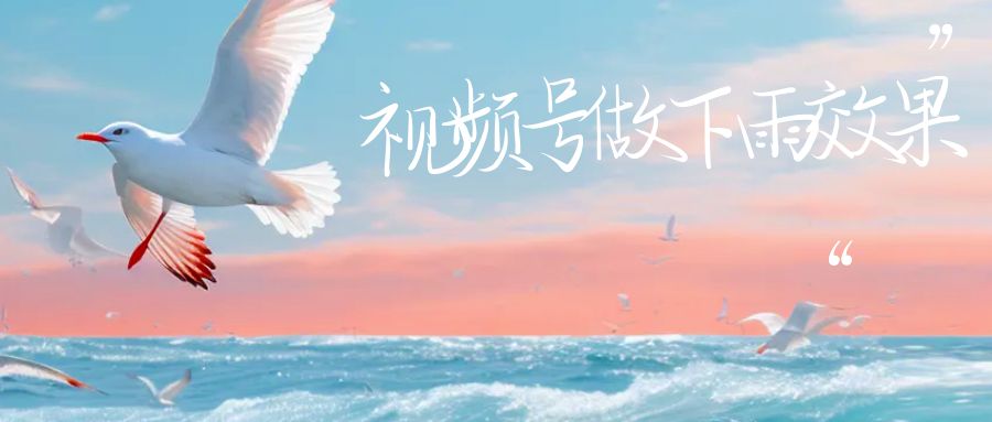 (6637期)视频号做下雨视频一个账号一周涨粉10W+年入100w-古龙岛网创