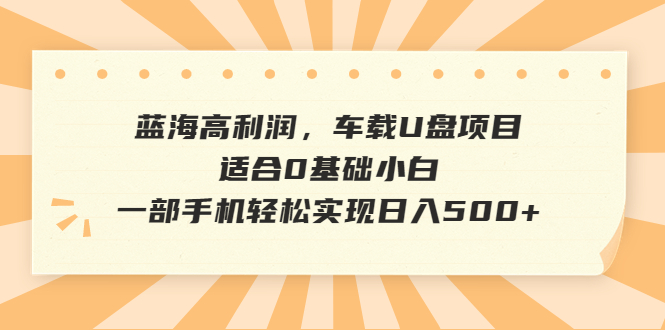（6600期）蓝海高利润，车载U盘项目，适合0基础小白，一部手机轻松实现日入500+-古龙岛网创