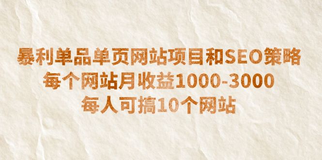 （6503期）暴利单品单页网站项目和SEO策略  每个网站月收益1000-3000  每人可搞10个-古龙岛网创