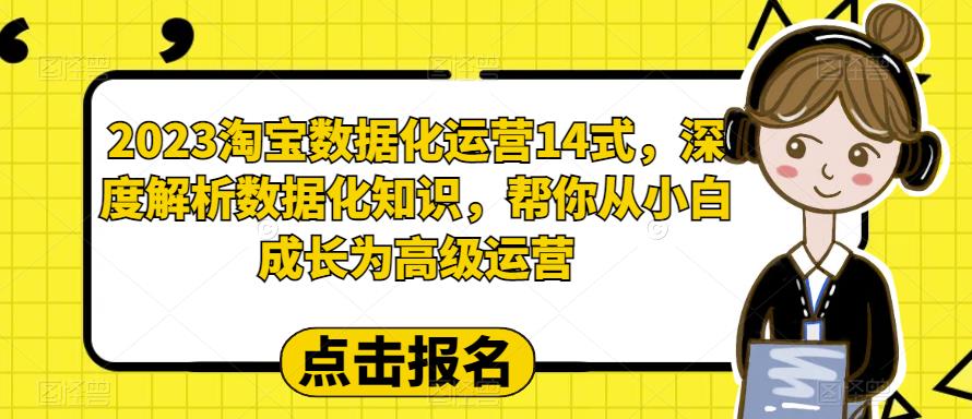 （6475期）2023淘宝数据化-运营 14式，深度解析数据化知识，帮你从小白成长为高级运营-古龙岛网创