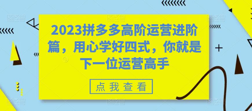 （6193期）2023拼多多高阶运营进阶篇，用心学好四式，你就是下一位运营高手-古龙岛网创