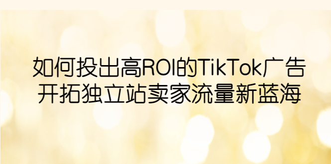 （6102期）如何投出高ROI·TikTok广告，开拓独立站卖家流量新蓝海-古龙岛网创