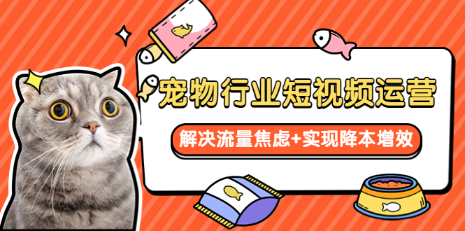 （5925期）宠物/行业短视频运营  流量增长的一层窗户纸  解决流量焦虑+实现降本增效-古龙岛网创