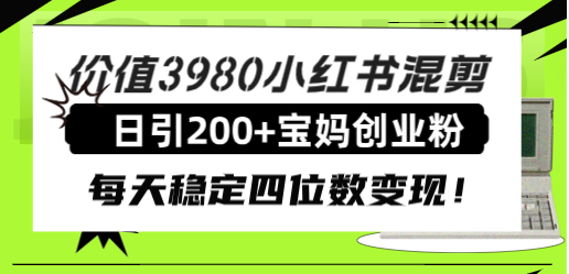 （7893期）价值3980小红书混剪日引200+宝妈创业粉，每天稳定四位数变现！-古龙岛网创