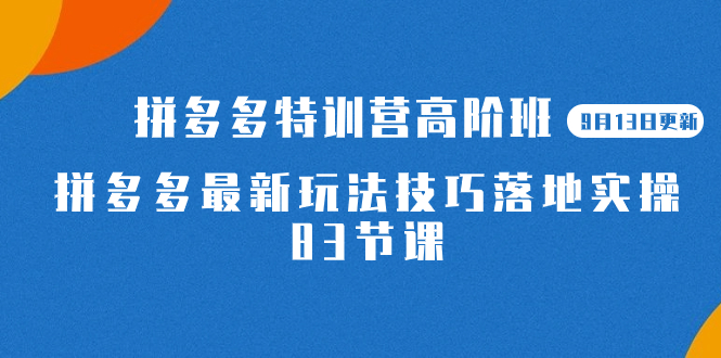 （7295期）2023拼多多·特训营高阶班【9月13日更新】拼多多最新玩法技巧落地实操-83节-古龙岛网创