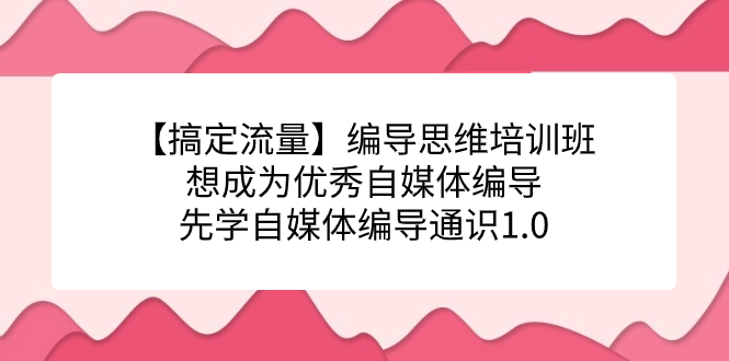 （7281期）【搞定流量】编导思维培训班，想成为优秀自媒体编导先学自媒体编导通识1.0-古龙岛网创