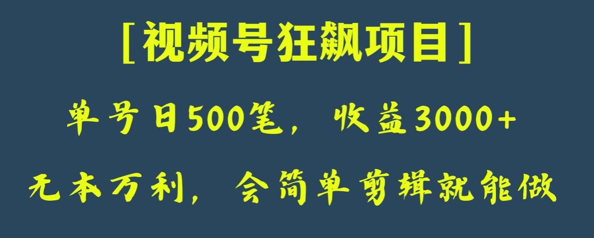 日收款500笔，纯利润3000+，视频号狂飙项目，会简单剪辑就能做【揭秘】-古龙岛网创