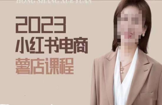 2023小红书电商课，新手小白从0~1玩转小红书薯店电商-古龙岛网创