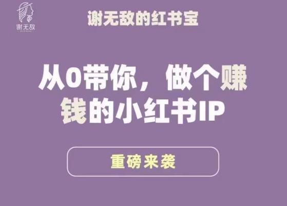 谢无敌·小红书运营大宝典，从0带你做个赚钱的小红书IP-古龙岛网创