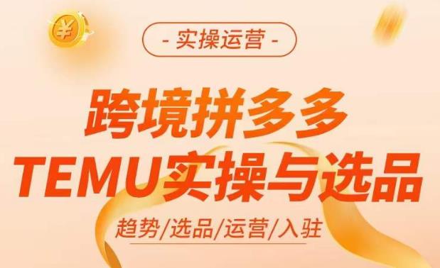 跨境拼多多TEMU实操与选品，​掌握平台运营方法技巧，选品避坑12条标准，爆款的底层思路等-古龙岛网创