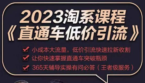 2023直通车低价引流玩法课程，小成本大流量，低价引流快速拉新收割，让你快速掌握直通车突破瓶颈-古龙岛网创