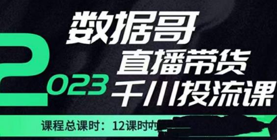 数据哥2023直播电商巨量千川付费投流实操课，快速掌握直播带货运营投放策略-古龙岛网创