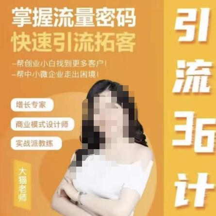 大猫·引流36计，掌握流量密码，快速引流拓客，帮创业小白找到更多客户，帮中小微企业走出困境-古龙岛网创