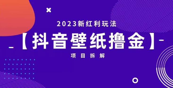 抖音壁纸小程序创作者撸金项目，2023新红利玩法【项目拆解】-古龙岛网创