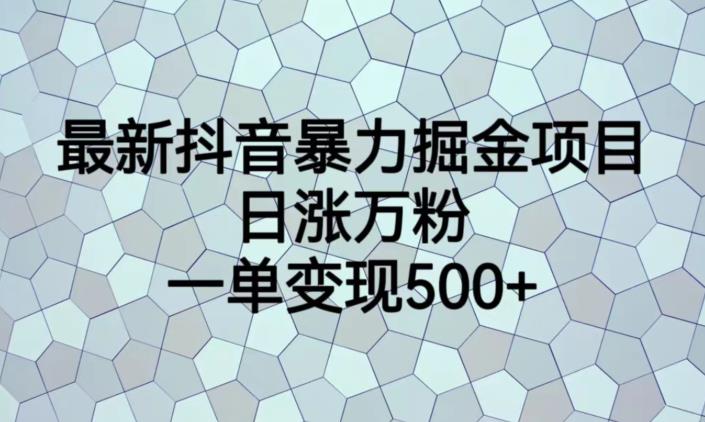 最新抖音暴力掘金项目，日涨万粉，一单变现500+【揭秘】-古龙岛网创