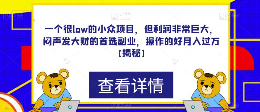 一个很low的小众项目，但利润非常巨大，闷声发大财的首选副业，操作的好月入过万【揭秘】-古龙岛网创