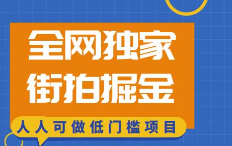 全网独家一街拍掘金，低门槛人人可做的赚钱项目【揭秘】-古龙岛网创