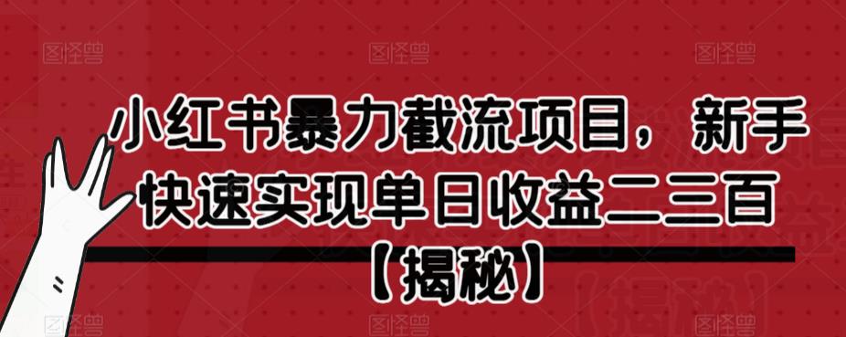 小红书暴力截流项目，新手快速实现单日收益二三百【仅揭秘】-古龙岛网创