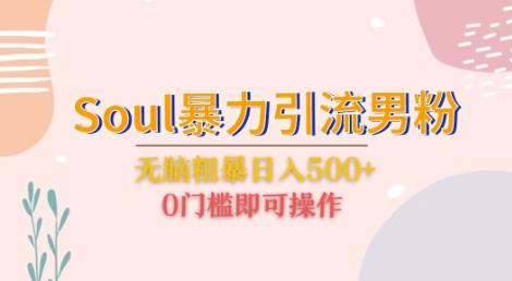 Soul暴力引流男粉玩法，无脑粗暴日入500＋，0门槛即可操作【揭秘】-古龙岛网创