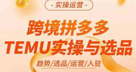 伍跃·跨境拼多多TEMU实操与选品，​趋势/选品/运营/入住（27节完整）-古龙岛网创