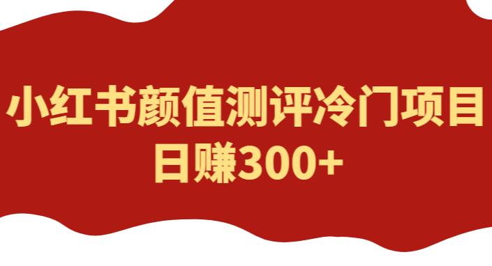 外面1980的项目，小红书颜值测评冷门项目，日赚300+【揭秘】-古龙岛网创