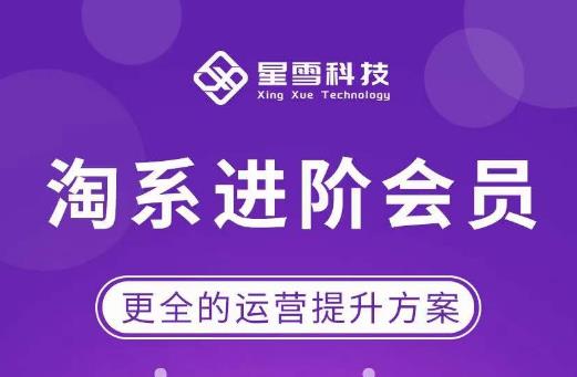 星雪·淘系进阶课程，快速提升突破技能流量瓶颈必备（更新2023年5月）-古龙岛网创