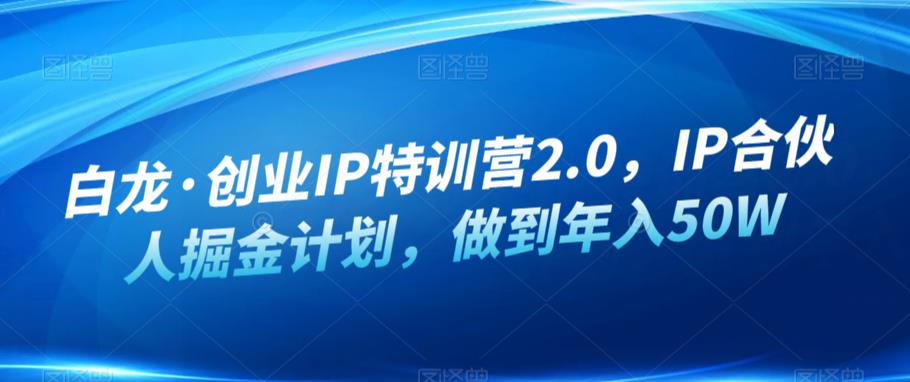 白龙·创业IP特训营2.0，IP合伙人掘金计划，做到年入50W-古龙岛网创
