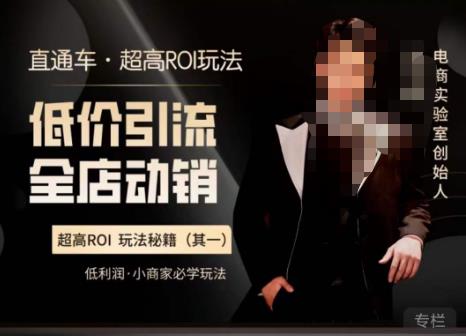 电商冰可乐·直通车·《低价引流·全店动销》，直通车·超高ROI玩法（其一）全店动销必学玩法-古龙岛网创