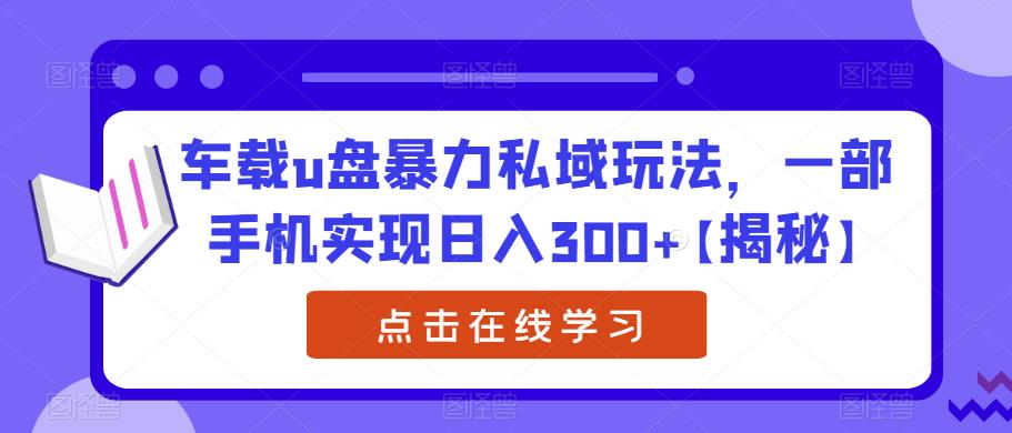 车载u盘暴力私域玩法，一部手机实现日入300+【揭秘】-古龙岛网创