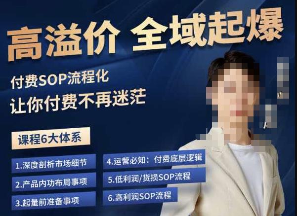 逸风-拼多多高溢价全域起爆，6大课程体系，付费玩法全套实操-古龙岛网创