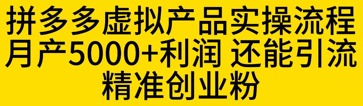 拼多多虚拟产品实操流程，月产5000+利润，还能引流精准创业粉【揭秘】-古龙岛网创