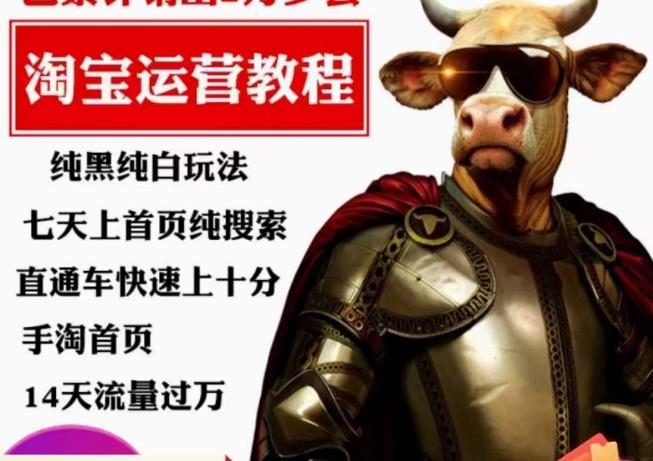 猫老师·淘系算法逆向解密,纯黑纯白玩法,七天上首页纯搜索,手淘首页14天流量过万 猫老师·淘系算法逆向解密,纯黑纯白玩法,七天上首页纯搜索,手淘首页14天流量过万