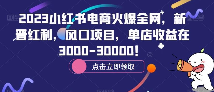 2023小红书电商火爆全网，新晋红利，风口项目，单店收益在3000-30000！-古龙岛网创