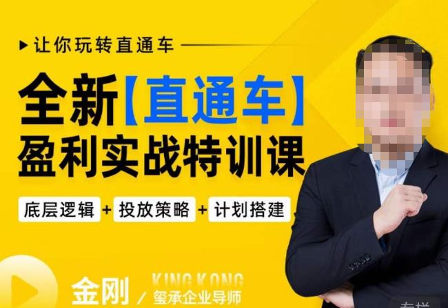 玺承·全新直通车盈利实战特训课，从​底层逻辑详细拆解，从底层，策略到搭建，让你玩转直通车-古龙岛网创