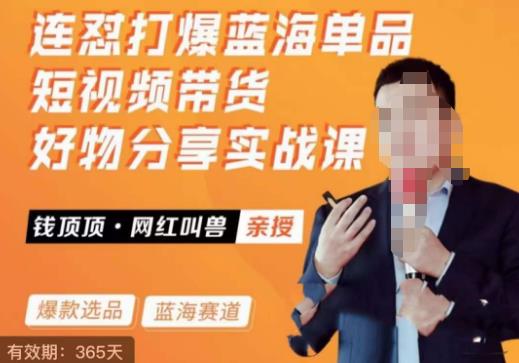 网红叫兽·连怼打爆蓝海单品，短视频带货好物分享实战课-古龙岛网创
