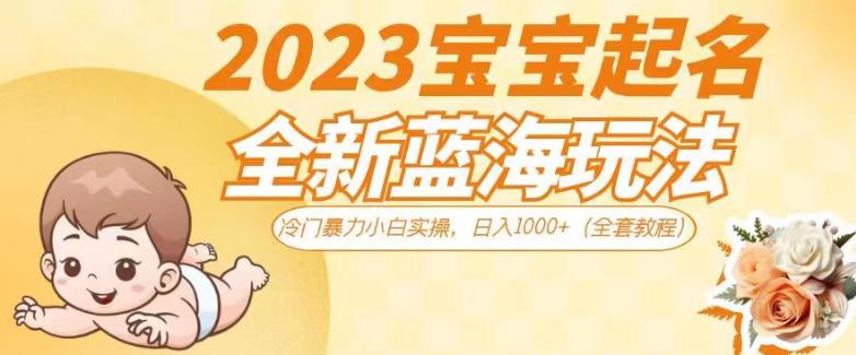 2023宝宝起名全新蓝海玩法，冷门暴力小白实操，日入1000+（全套教程）【揭秘】-古龙岛网创