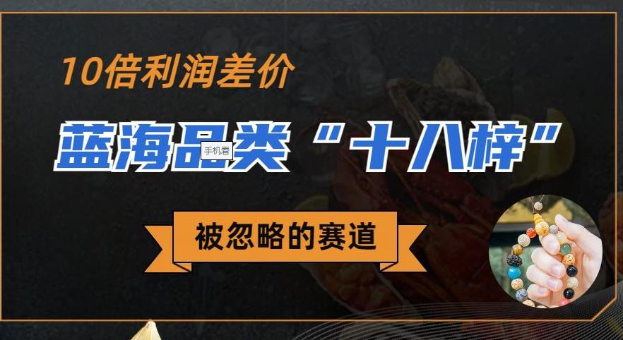 被忽略的蓝海品类“十八籽”，10倍的利润差价，同行一天几十单【揭秘】-古龙岛网创