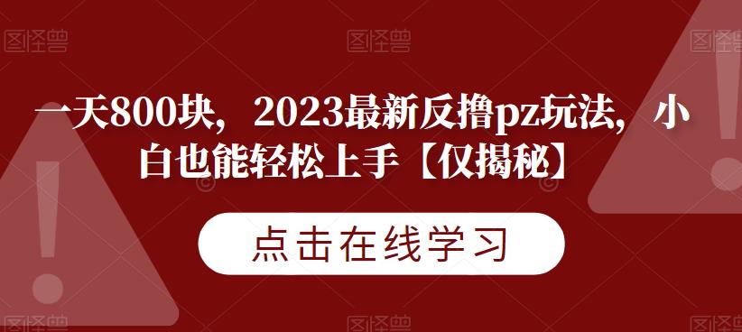 一天800块，2023最新反撸pz玩法，小白也能轻松上手【仅揭秘】-古龙岛网创