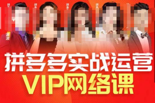 推易拼多多VIP全套直播课程，拼多多店铺实操玩法+实战玩法选款内功+直通车高阶等-古龙岛网创