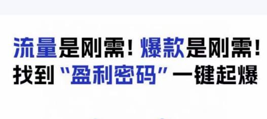 电商盈利精品课：6大盈利密码让产品更好卖，流量是刚需！爆款是刚需！找到”盈利密码”一键起爆-古龙岛网创