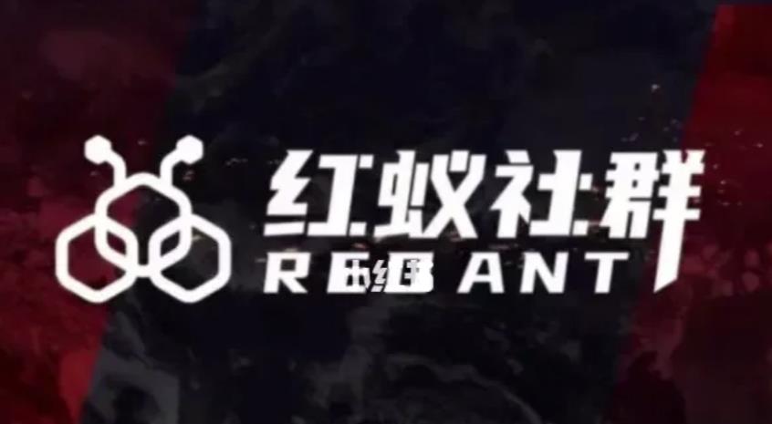 社群运营：红蚁社群【48节落地系统课程+2000人高端社群】-古龙岛网创