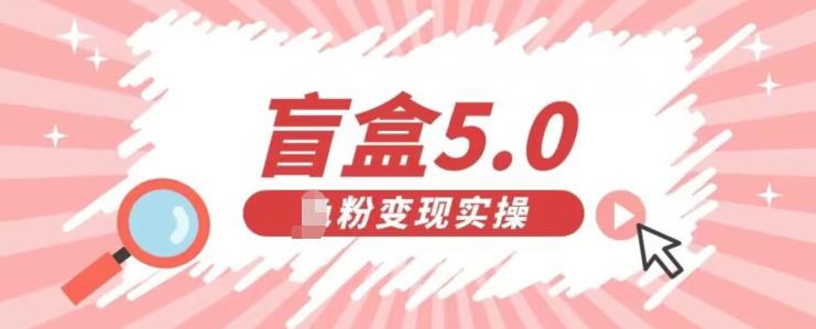 盲盒交友5.0，男粉变现实操项目，亲测变现效果极好【揭秘】-古龙岛网创