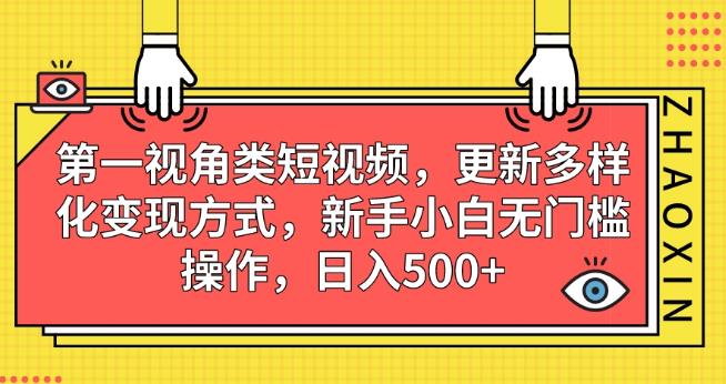 第一视角类短视频，更新多样化变现方式，新手小白无门槛操作，日入500+【揭秘】-古龙岛网创