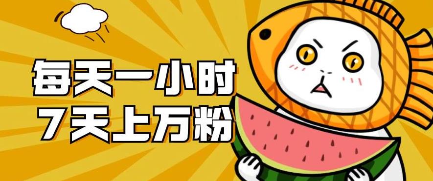 暴力涨粉项目：每天一小时，七天上万粉【揭秘】-古龙岛网创