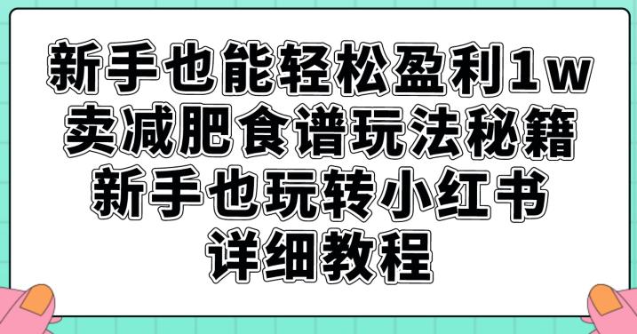 新手也能轻松盈利1w，卖减肥食谱玩法秘籍，新手也玩转小红书详细教程【揭秘】-古龙岛网创