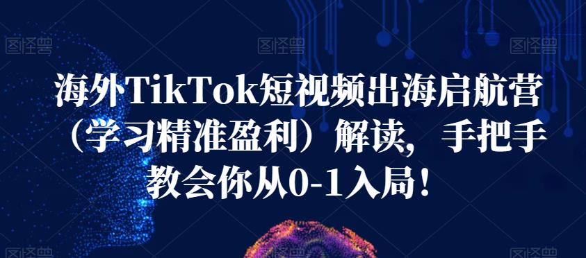 海外TikTok短视频出海启航营（学习精准盈利）解读，手把手教会你从0-1入局！-古龙岛网创