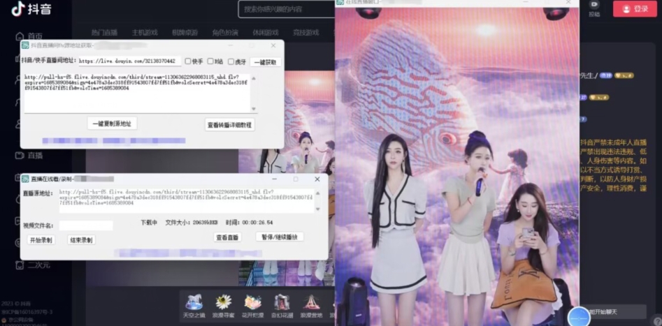 【高端精品】最新电脑版抖音/快手/B站直播源获取+直播间实时录制+直播转播软件【全套软件+详细教程】 【高端精品】最新电脑版抖音/快手/B站直播源获取+直播间实时录制+直播转播软件【全套软件+详细教程】